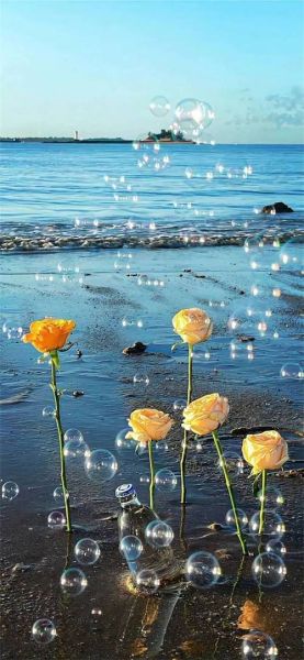 唯美手机壁纸哪里找_如何设置高清不压缩