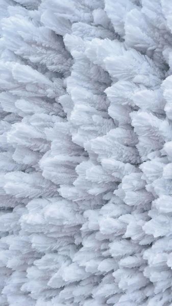 冰晶是怎么形成的_冰晶有哪些形状