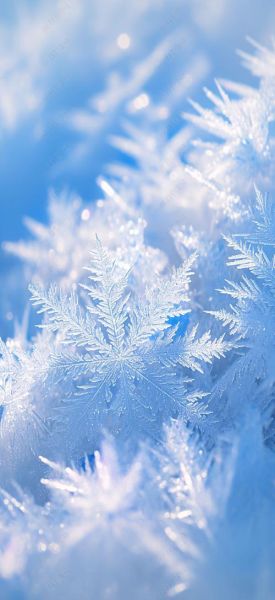 冰晶是怎么形成的_冰晶有哪些形状