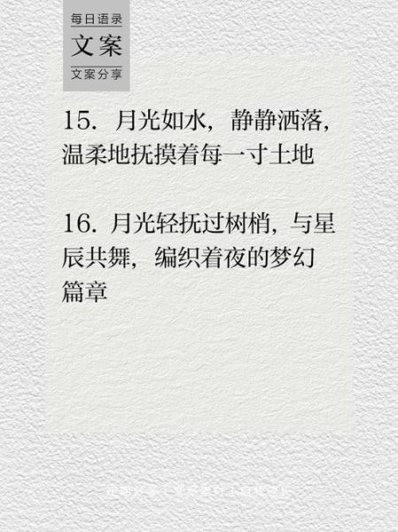 月光怎么形容_月光唯美句子有哪些