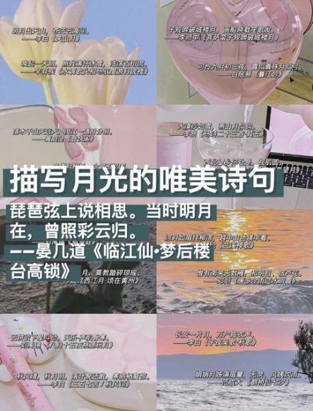 月光怎么形容_月光唯美句子有哪些