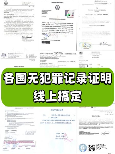 有犯罪记录能移民吗_哪些国家接受前科移民