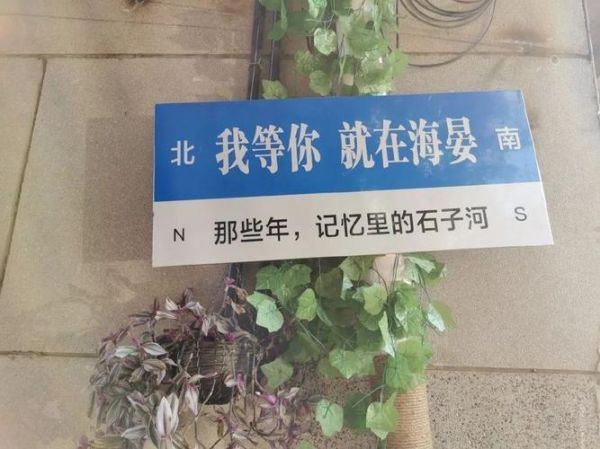 南京和中移民怎么样_南京和中移民靠谱吗