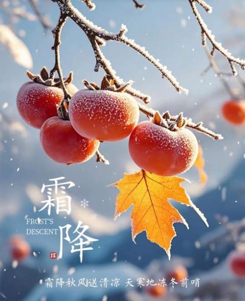 霜降景色词语有哪些_霜降景色怎么描写