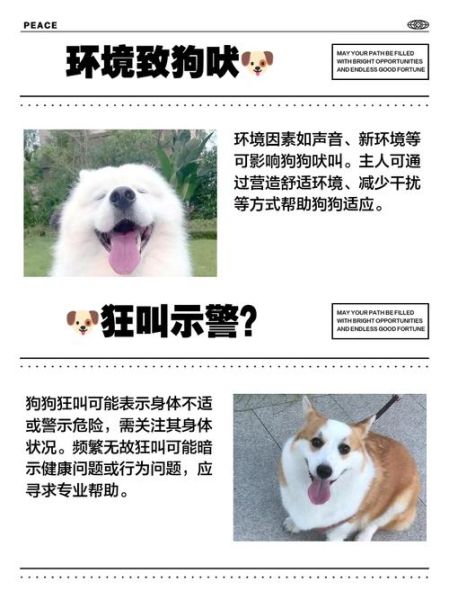 狗汪汪叫是什么意思_狗狗半夜狂吠怎么办