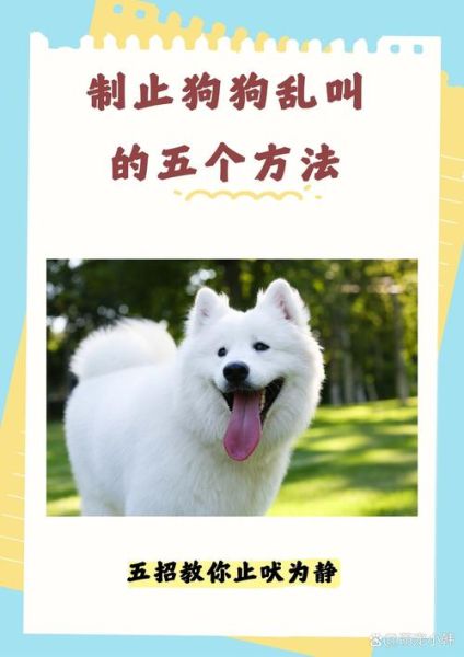 狗汪汪叫是什么意思_狗狗半夜狂吠怎么办