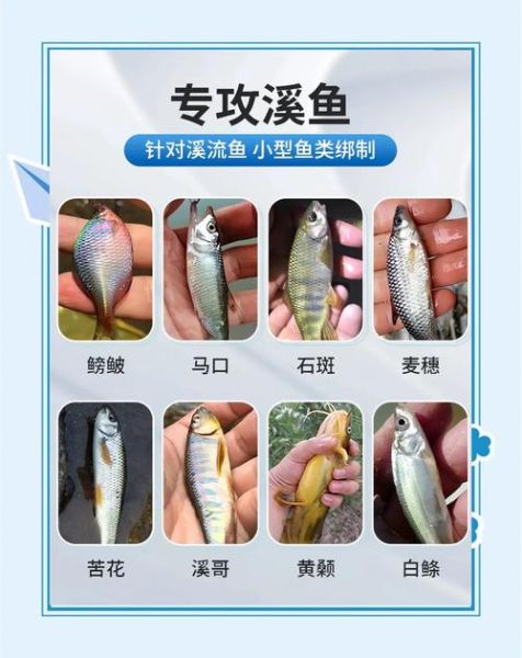 溪流钓鱼技巧_溪流钓点怎么选