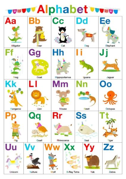 ABC动物有哪些_A到Z常见动物大全