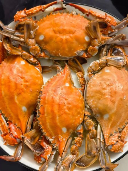 梭子蟹怎么蒸_梭子蟹清蒸做法步骤