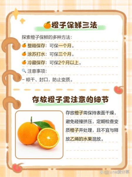 橙子怎么保存_橙子一天吃几个最好
