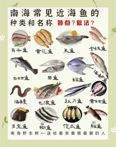 海里鱼有哪些常见种类_海里鱼怎么挑选新鲜