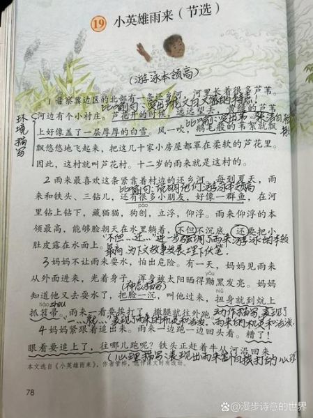 雨来是什么意思_雨来出自哪篇课文