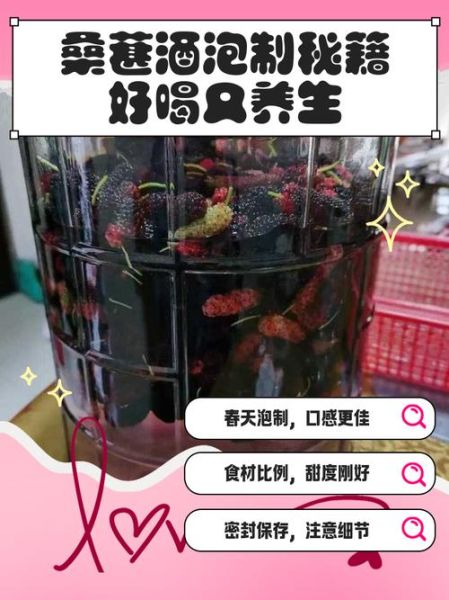 桑葚酒的做法_桑葚酒怎么泡才正宗