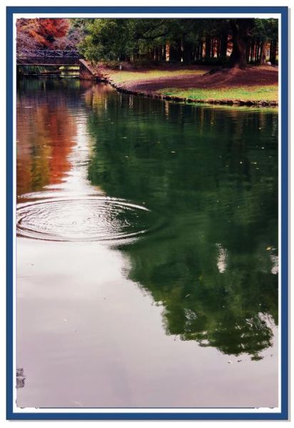 树木水中倒影怎么拍_树木倒影构图技巧