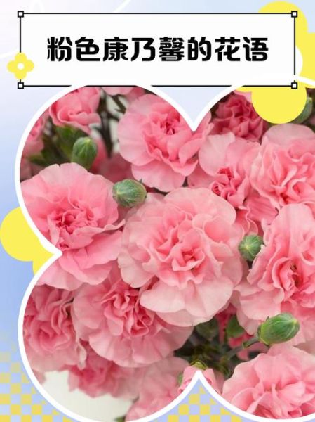 粉红花有哪些花语_粉红花适合送什么人