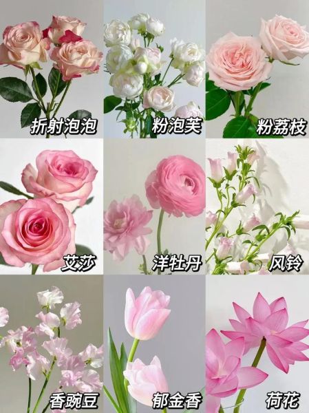 粉红花有哪些花语_粉红花适合送什么人