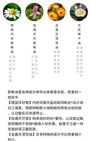 面肤词语有哪些_面肤词语是什么意思