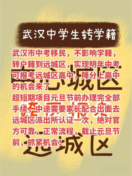 武汉移民条件_武汉移民流程