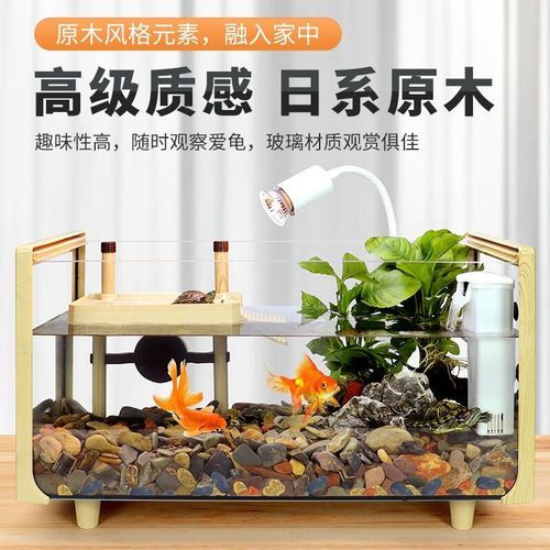 鸟和鱼能一起养吗_如何打造生态混养缸