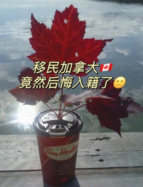 加拿大移民后悔怎么办_移民后想回国还能回吗