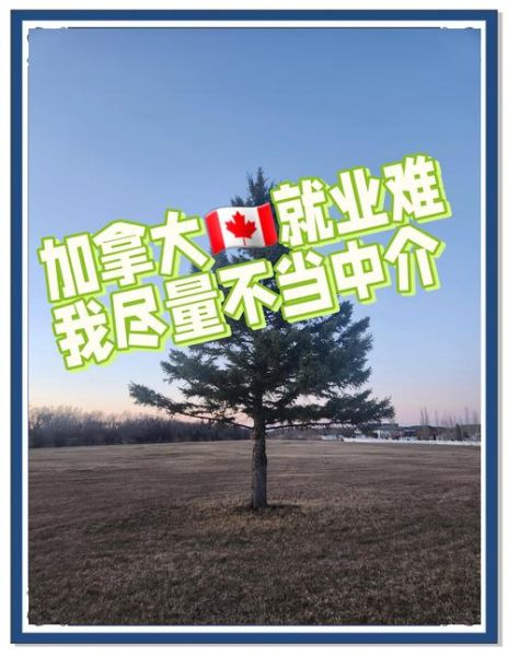加拿大新移民如何找工作_加拿大新移民找工作难吗