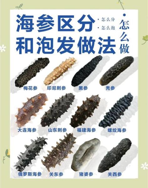 海参最简单的做法_海参怎么泡发最快