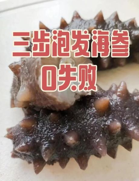 海参最简单的做法_海参怎么泡发最快