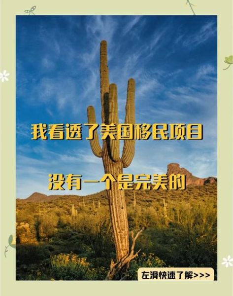 美国最早的移民来自哪里_他们为何离开故土