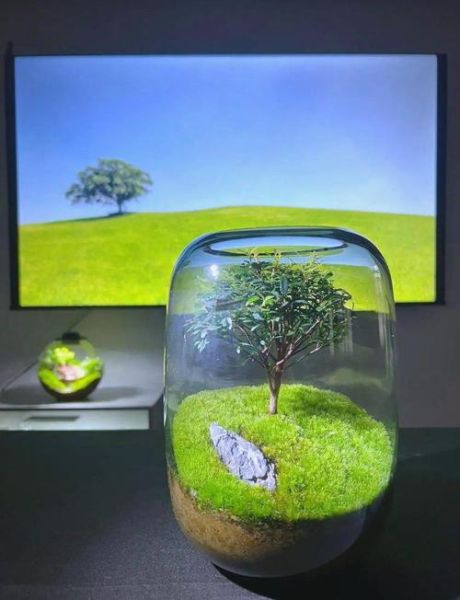 绿色生机_如何打造生态家居