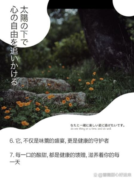 西红柿广告语怎么写_西红柿推广文案有哪些