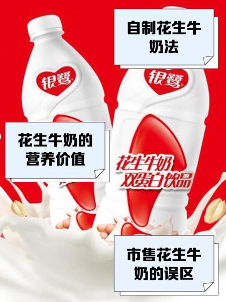 花生牛奶的做法_自制花生牛奶怎么做好喝