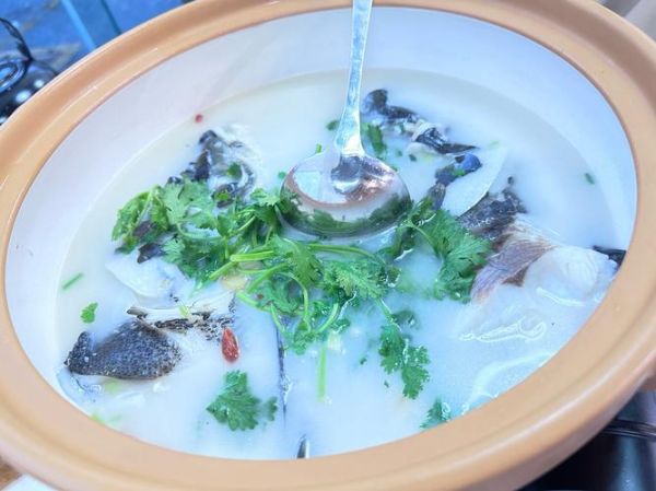 花鲢鱼头汤怎么做_花鲢鱼头汤怎么做好喝