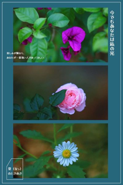 小花是什么意思_小花网络用语来源