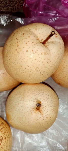 梨子是不是词语_梨子算不算词语