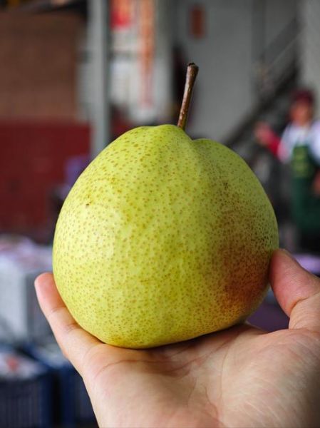 梨子是不是词语_梨子算不算词语