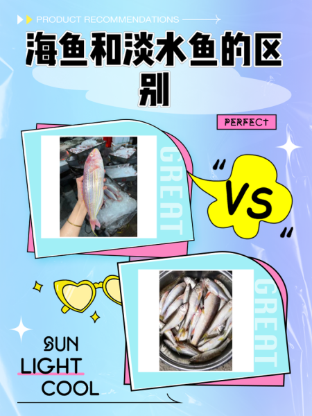 海里有哪些常见鱼_如何区分海鱼与淡水鱼