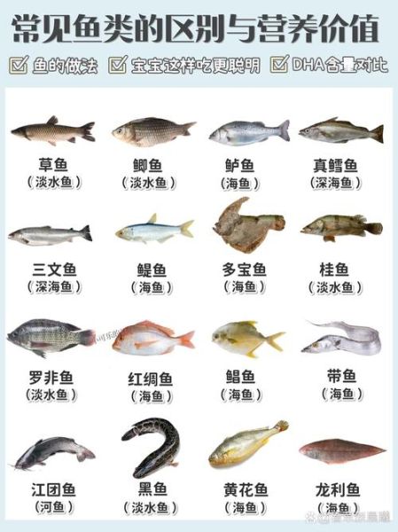 海里有哪些常见鱼_如何区分海鱼与淡水鱼