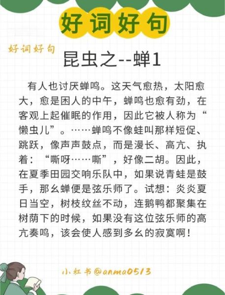 知了的声音词语有哪些_知了叫声怎么形容