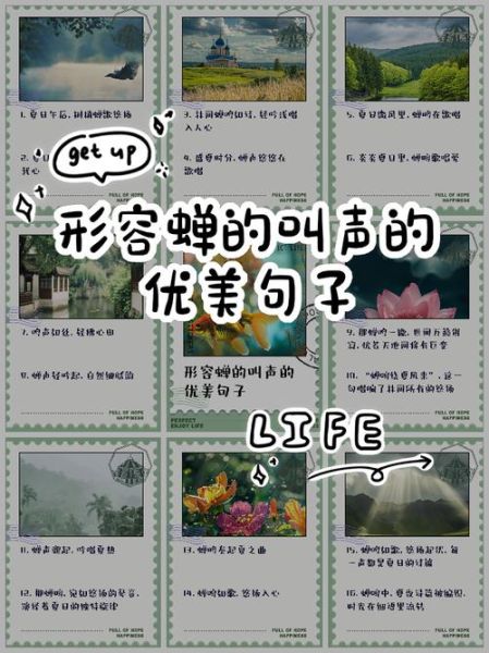 知了的声音词语有哪些_知了叫声怎么形容