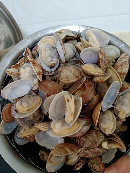 花甲怎么清洗_花甲最简单的做法