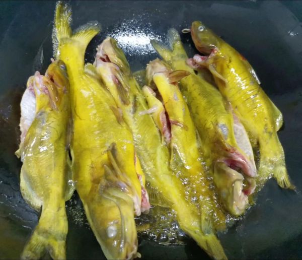 黄辣丁炖豆腐怎么做_黄辣丁炖豆腐需要焯水吗