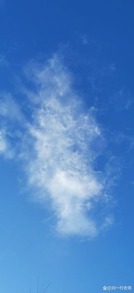 白色的天空是什么意思_白色的天空预示什么天气