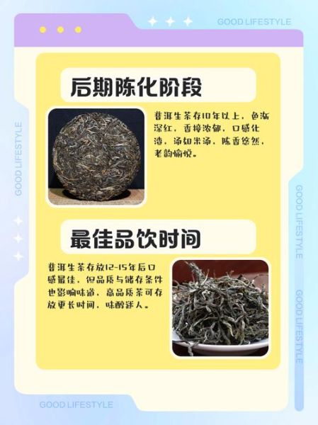 如何挑选优质普洱茶_普洱茶存放多久最好喝