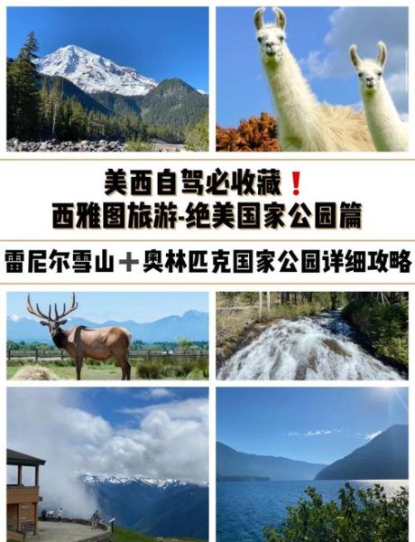 移民美国西雅图需要多少钱_西雅图生活成本详解