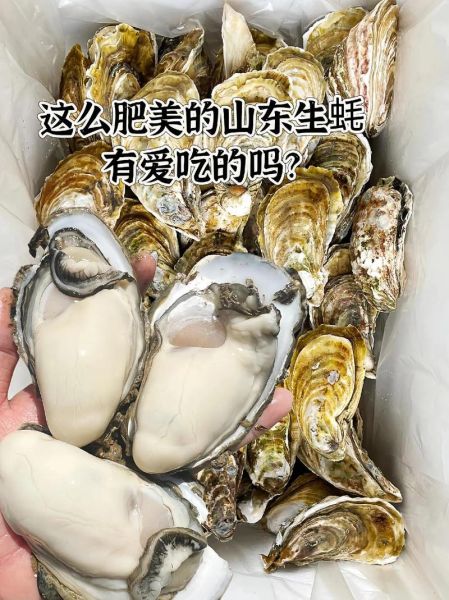 生蚝肉怎么做好吃_生蚝肉的家常做法