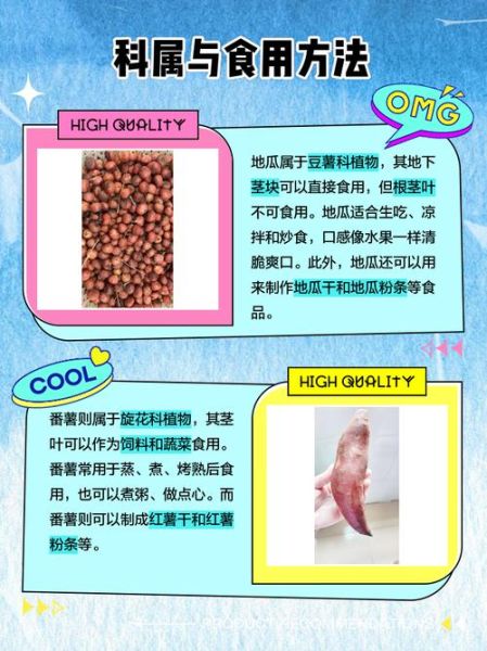 红薯是不是词语_红薯算不算词语