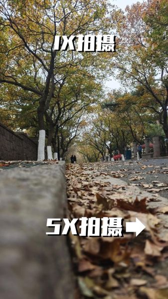 长焦手机拍照效果如何_长焦手机怎么选