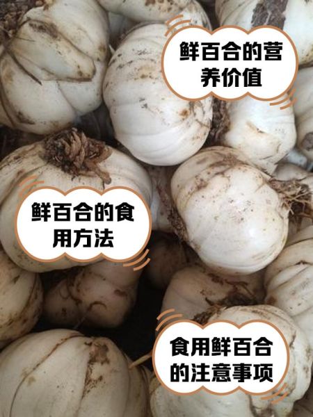 鲜百合怎么吃_鲜百合的做法大全