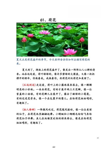 荷叶的四字词语有哪些_荷叶词语大全