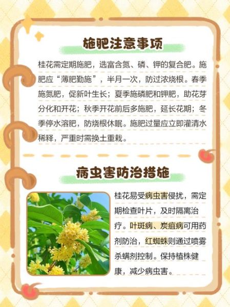 树叶茂密的原因_如何让院子树叶更茂密